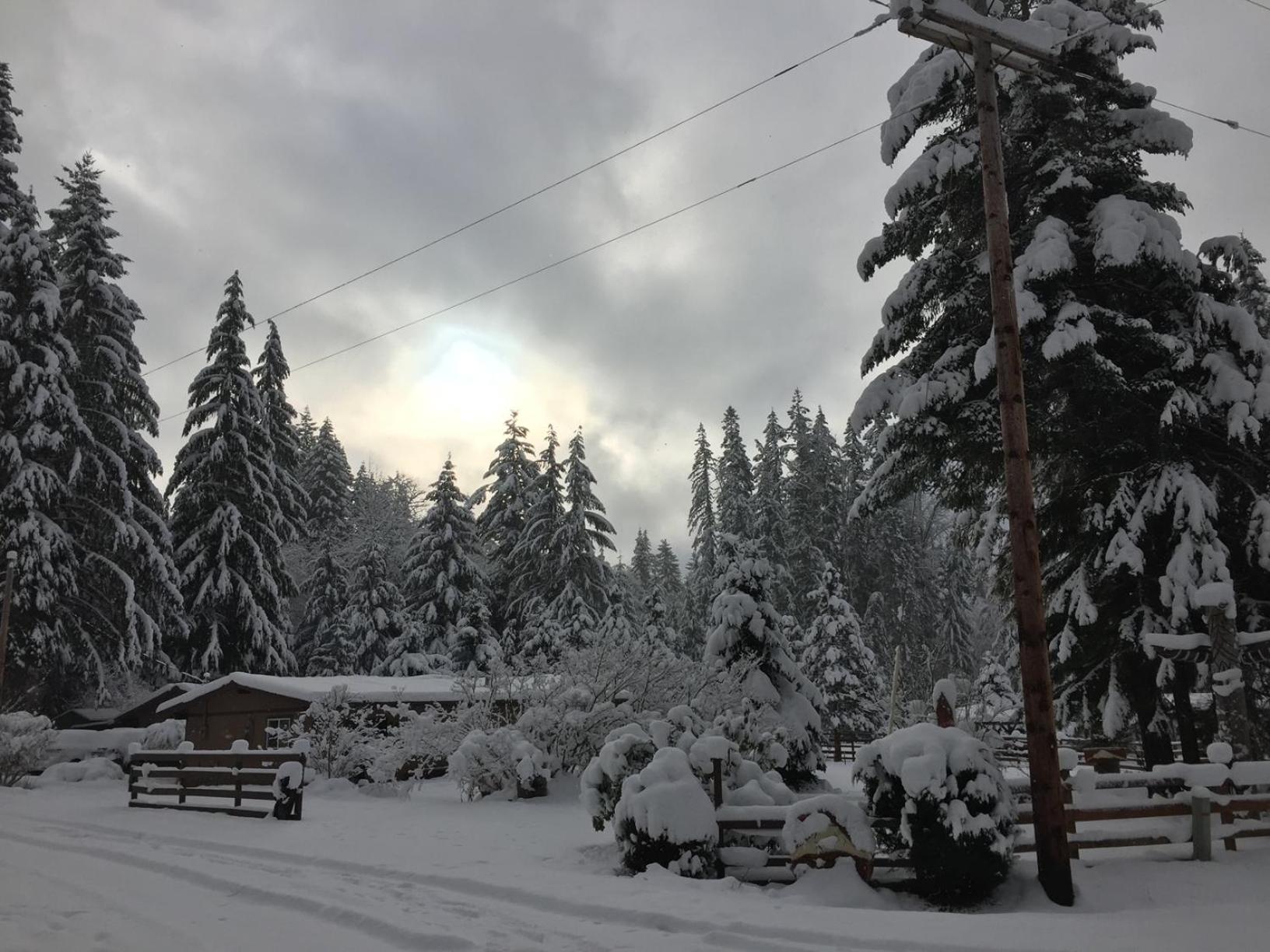 Bear'S Den Hideaway With Hot Tub Villa Ashford Eksteriør billede