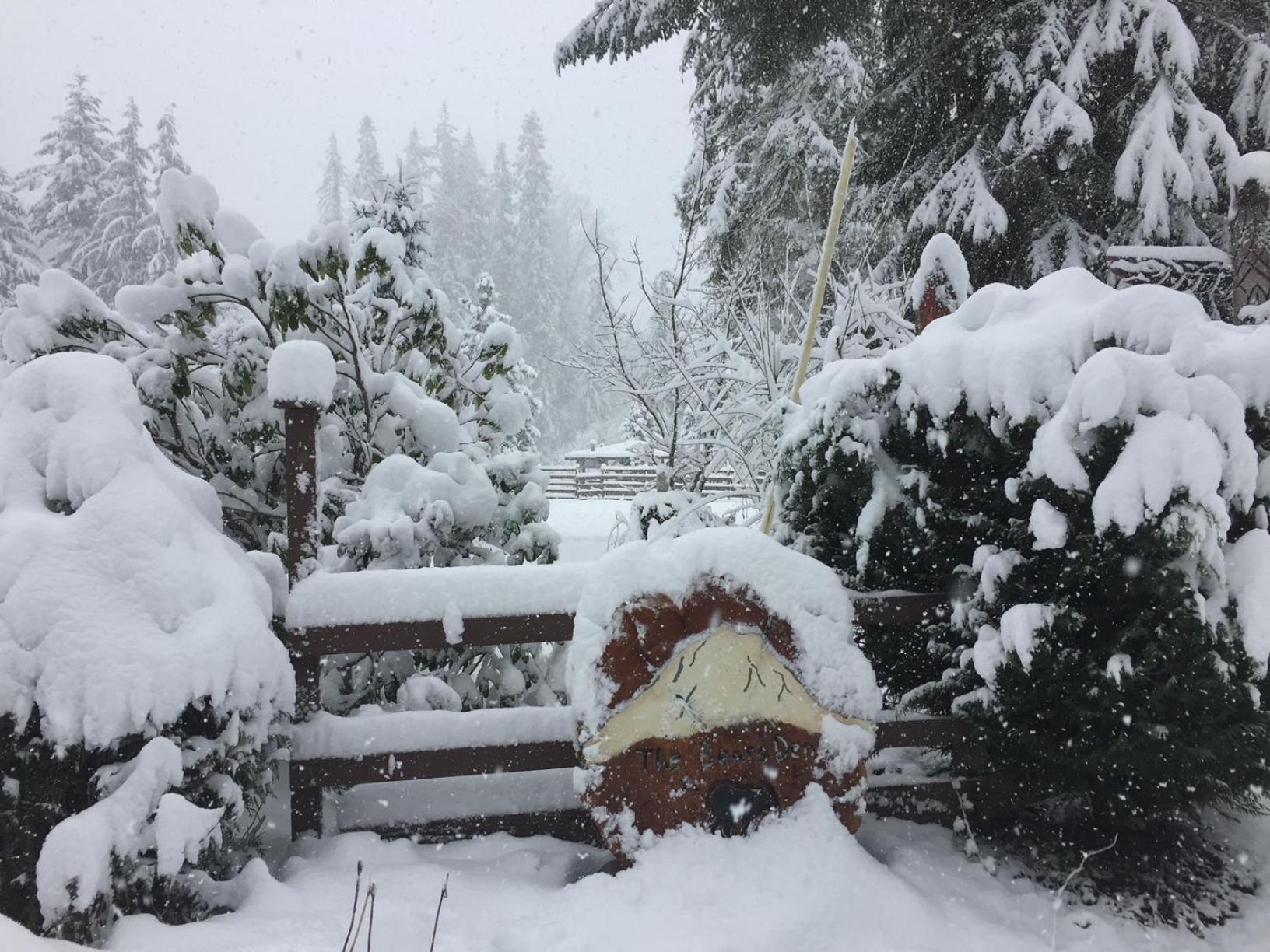 Bear'S Den Hideaway With Hot Tub Villa Ashford Eksteriør billede