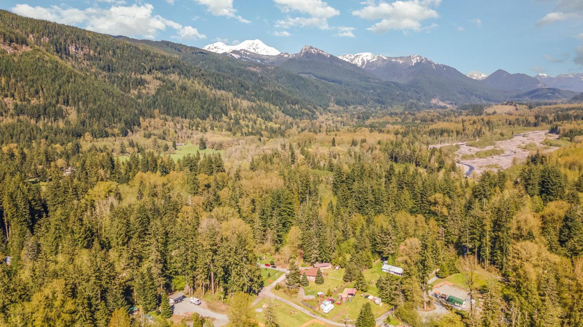 Bear'S Den Hideaway With Hot Tub Villa Ashford Eksteriør billede