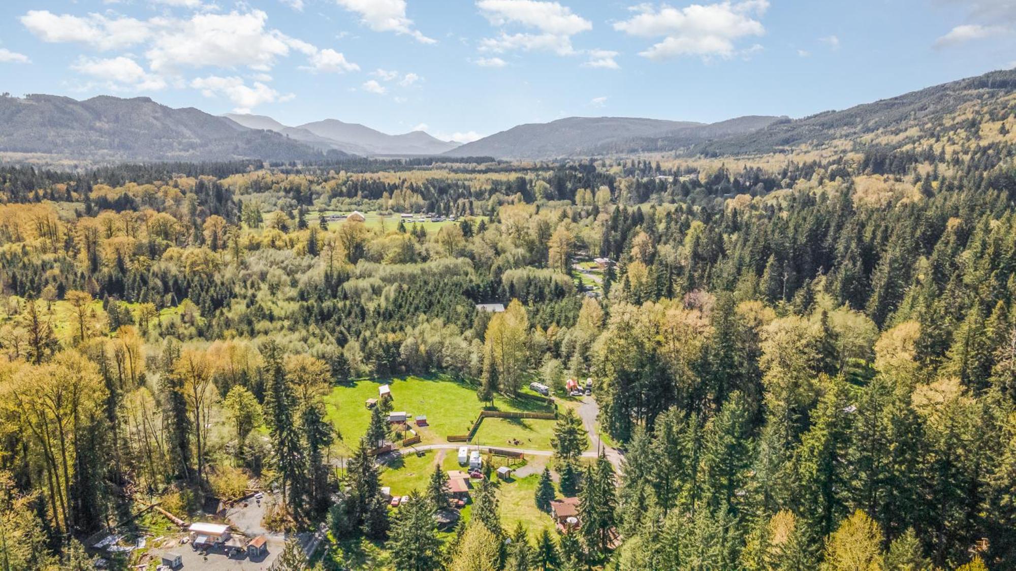 Bear'S Den Hideaway With Hot Tub Villa Ashford Eksteriør billede